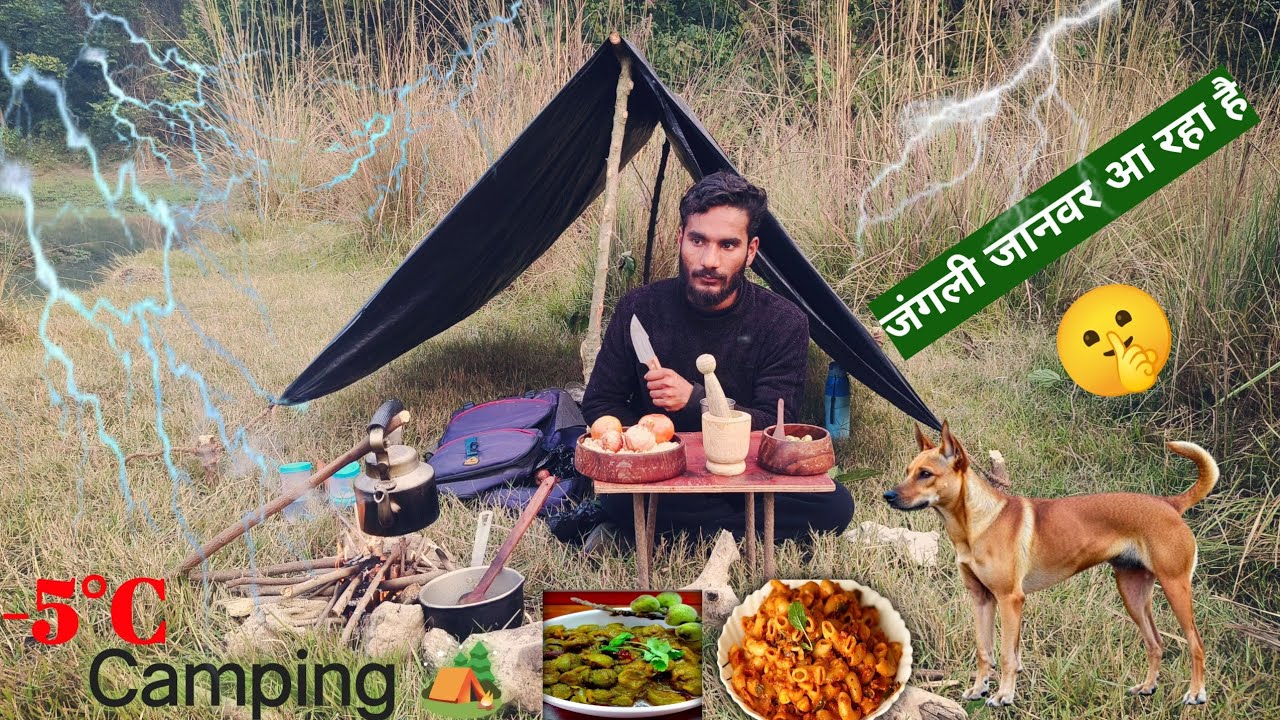 -5°C Extreme Cold Camping In Forest 🥶 | Camping Gone Wrong India | Survival Camping