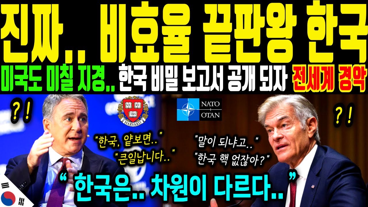 [해외감동사연] 세계가 잘 모르는 한국의 진짜 모습! 한국은 보이는게 전부가 아니다! 발칵 뒤집힌 강대국들