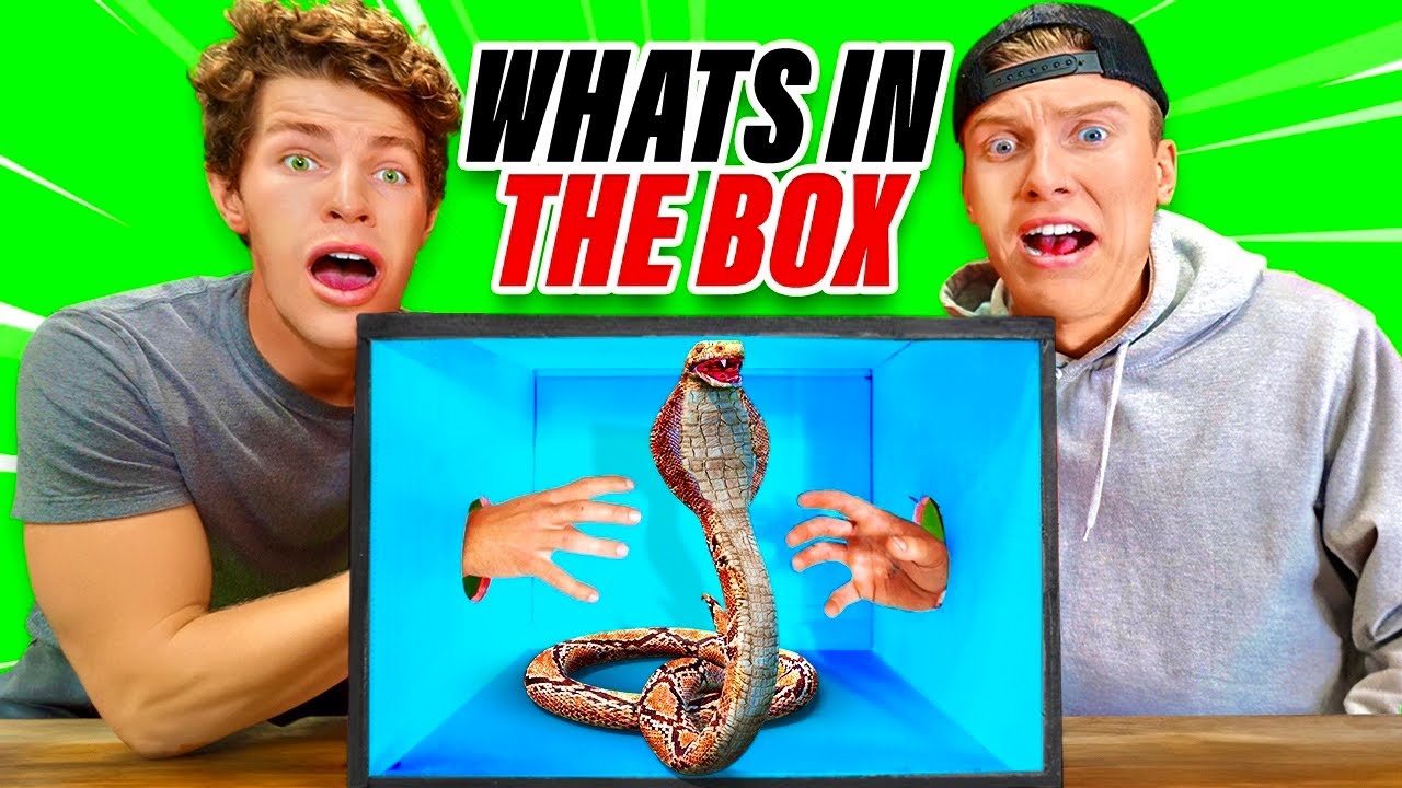 EXTREME What&rsquo;s In The Box Challenge!