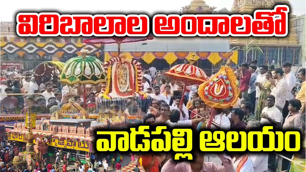 విరిబాలాల అందాలతో వాడపల్లి ఆలయం #konaseematirumala #vadapallivenkanna #venkateswaraswamy | Oka Maata