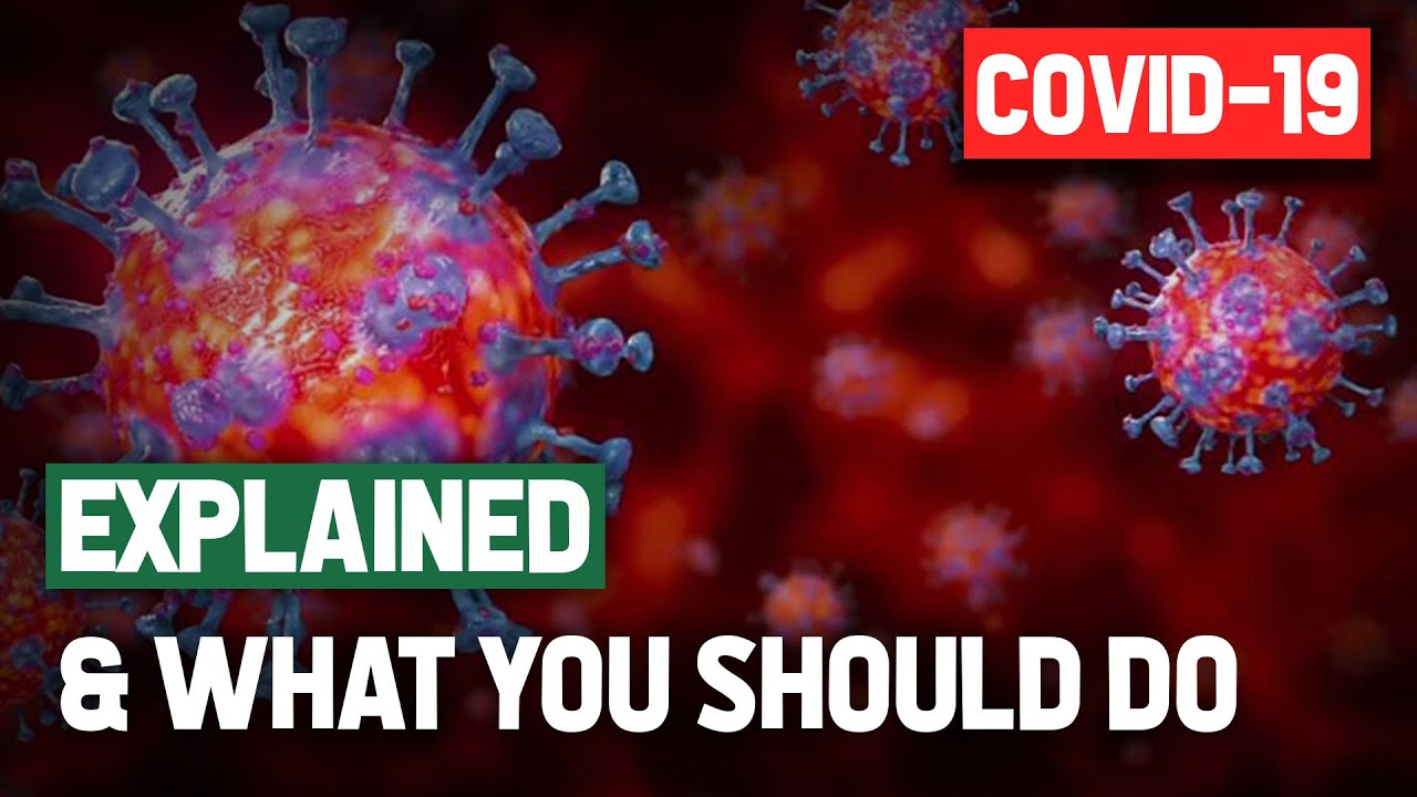 The Coronavirus Explained & What You Should Do