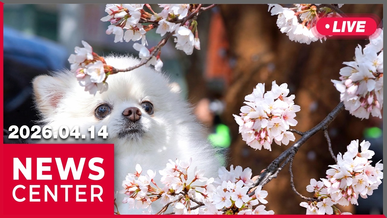 [LIVE] NEWSCENTER (2026-04-14)