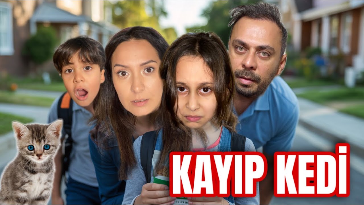 HER GÜN GÖRDÜĞÜMÜZ KEDİ KAYBOLDU… ÇOK ÜZÜLDÜK !!