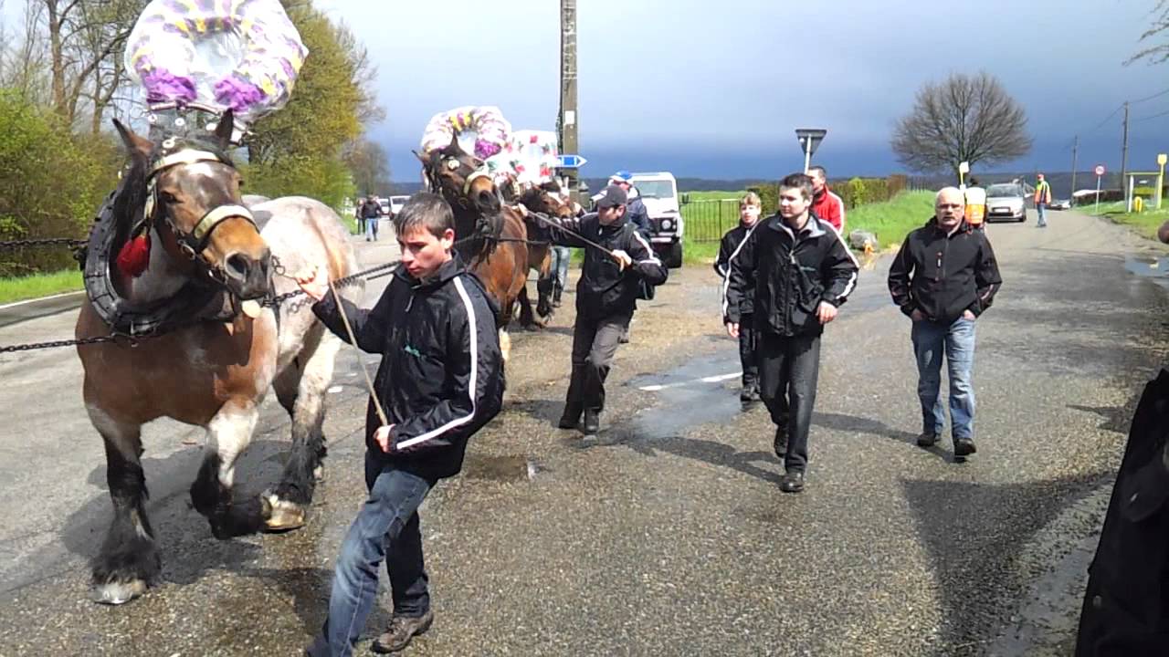 Denhalen Noorbeek 2012, aankomst Hagelstein.mp4