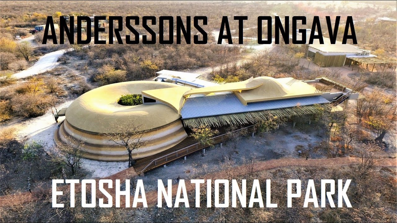 ANDERSSONS CAMP AT ONGAVA RESERVE ETOSHA PARK NAMIBIA | АНДЕРССОНС КЕМП ОНГАВА ПАРК ЭТОША НАМИБИЯ