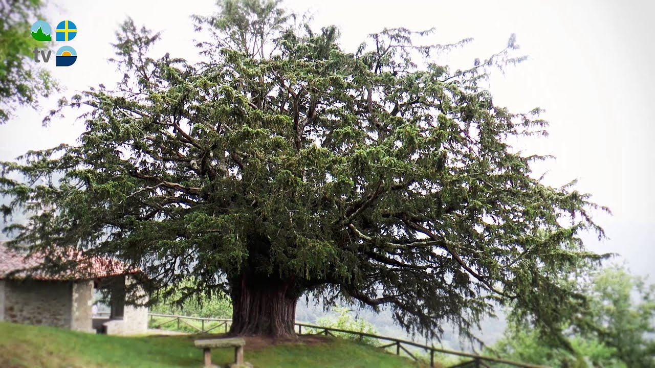 Quiros - Turismo Asturias Televisi&oacute;n