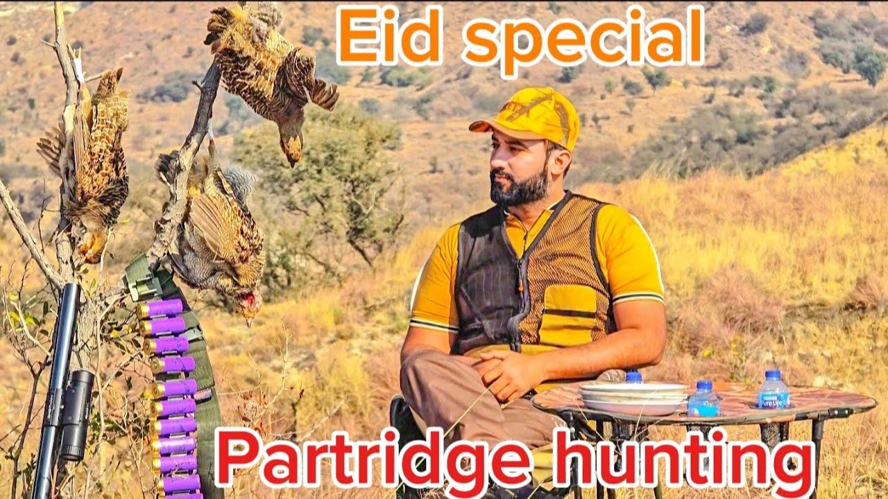 Partridge hunting in pakistan by waqaas khan chadhar 2025,2026 #teeterkashikar #livesforhunting