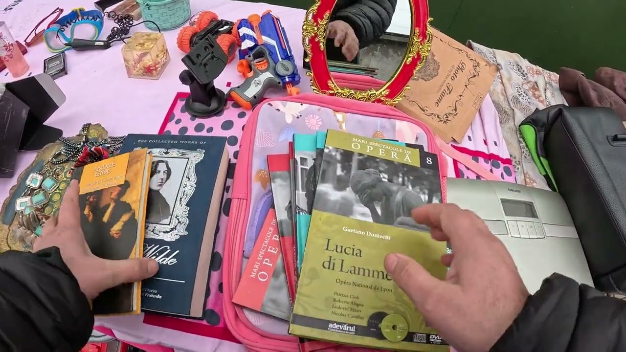 TUPEU MAXIM la Valea Cascadelor! A vrut să-mi distrugă camera!