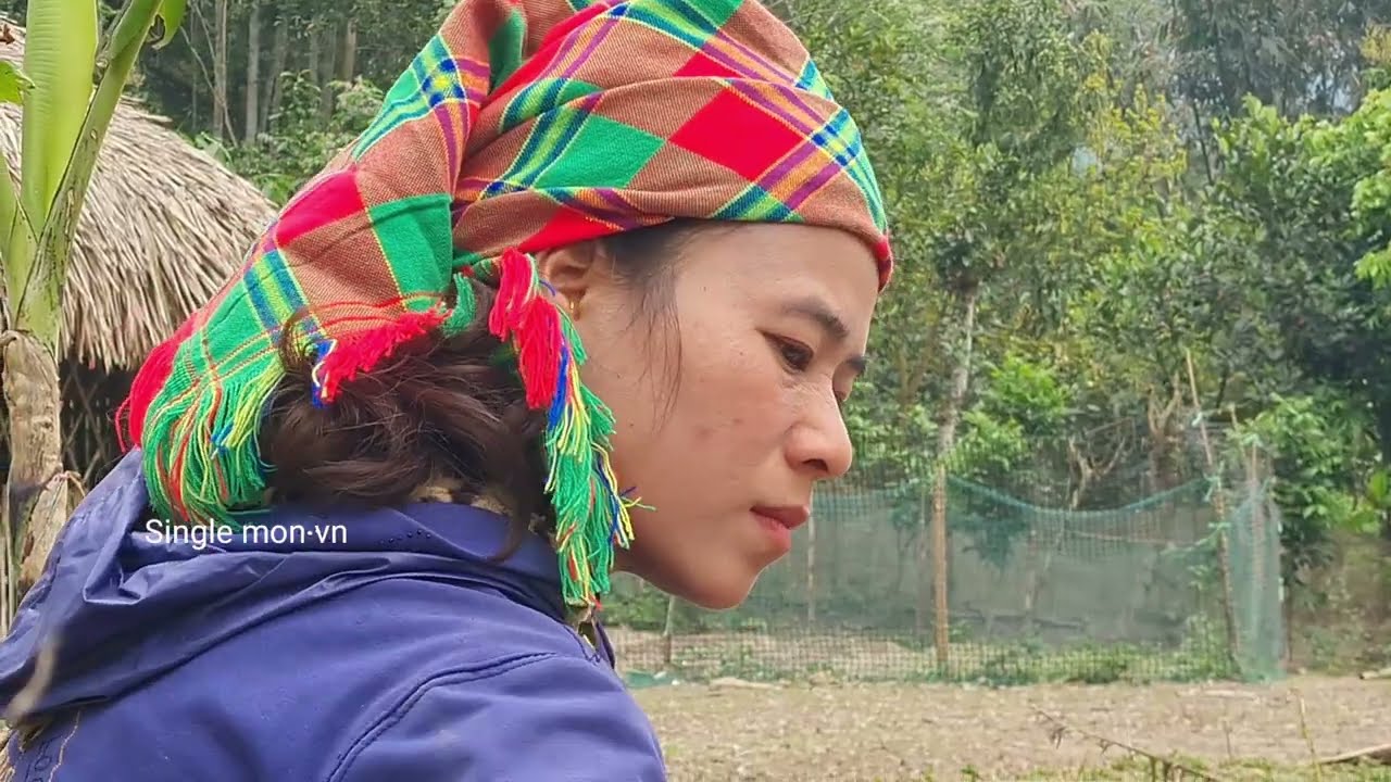 Farm Cleaning and Fencing - Vegetable Gardening - DaiLy Life