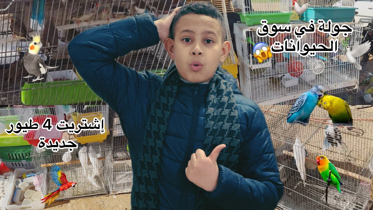 جولة في سوق الأحد للحيوانات 😍+زيارة عند مول الطيور 🦜🕊️إشتريت أربع طيور جديدة 🪽