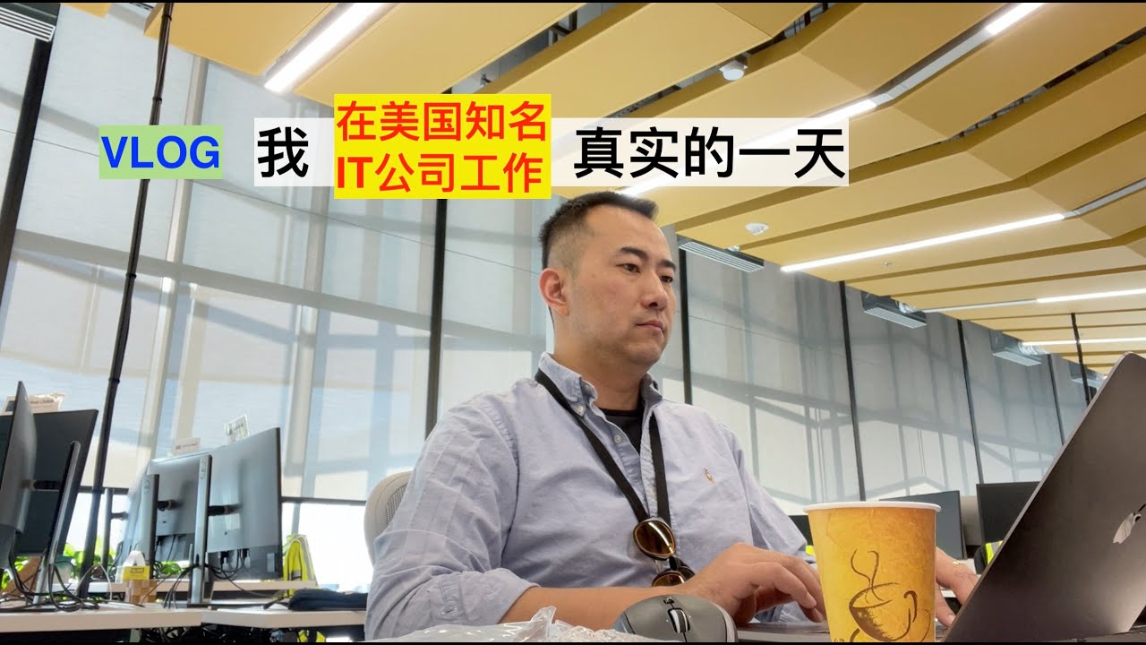 我在美国知名IT公司工作真实的一天 VLOG
