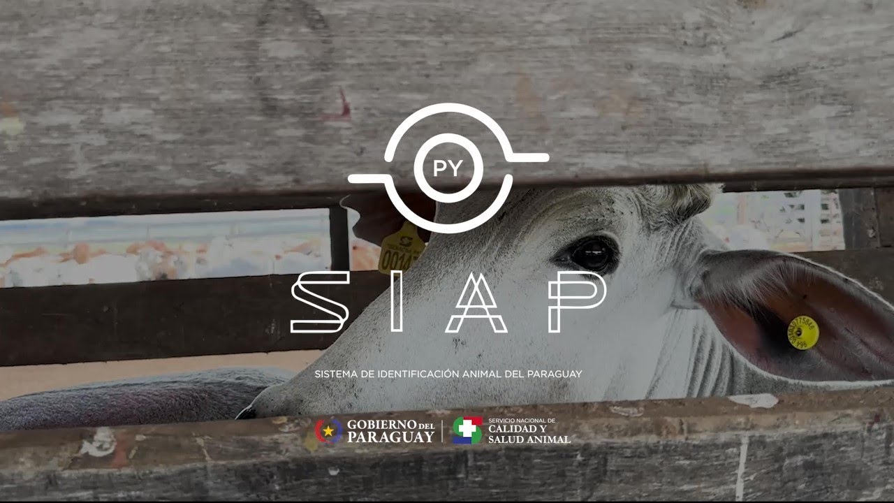 ¿Qué es el Sistema de Identificación Animal del Paraguay (SIAP)?