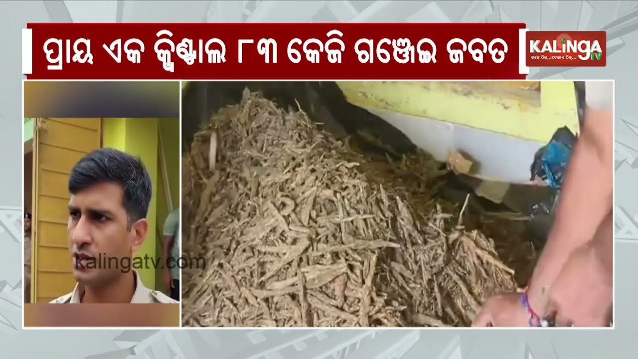 Over 1 Quintal Ganja Seized in Puri, Two Held | Kalinga TV