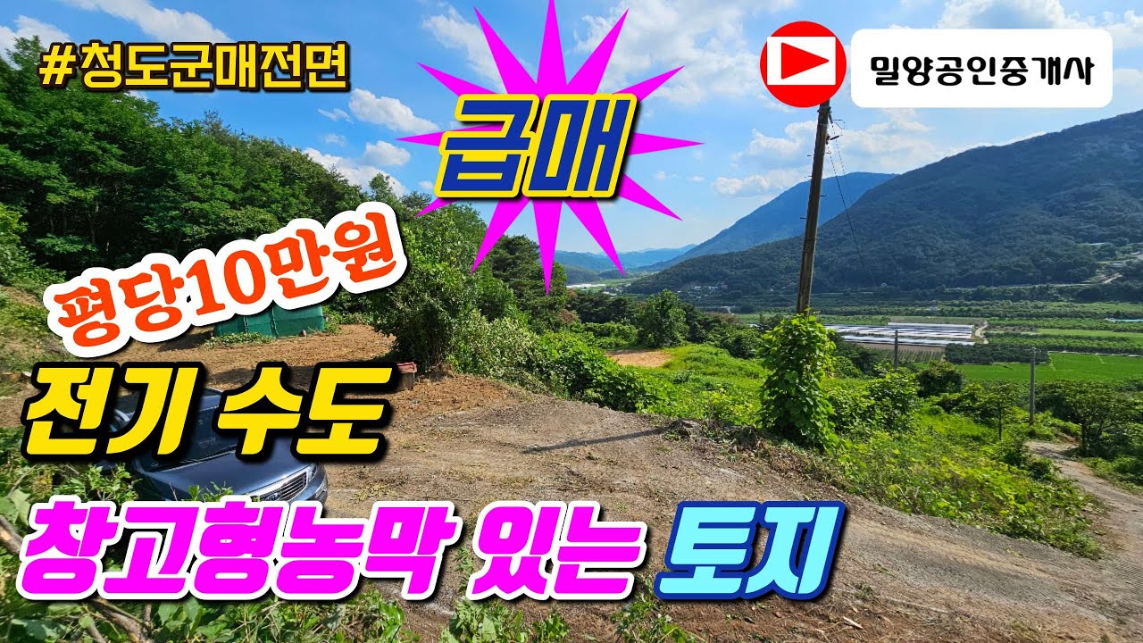 250716. 전기 수도 창고형 농막이 있는 탁트인 토지 #청도토지 #청도땅 #청도부동산 #밀양부동산 #밀양땅 #밀양토지