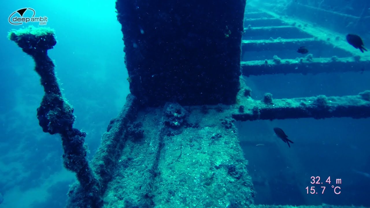 Diving from Krk, Croatia, June 2021
