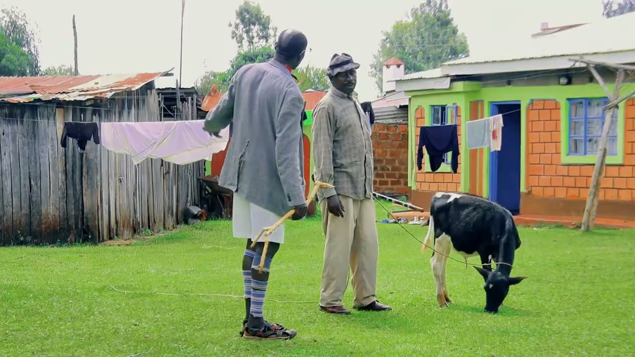 Banchiri & Ayiema SN 2 EP 1 - Mzee Kiriago baada ya kurudi kutoka Tanzania baada ya miaka hana makao