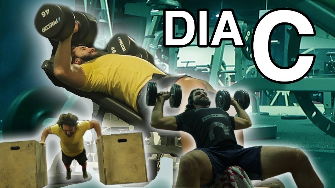 O Meu Plano de Treino Completo - Dia C