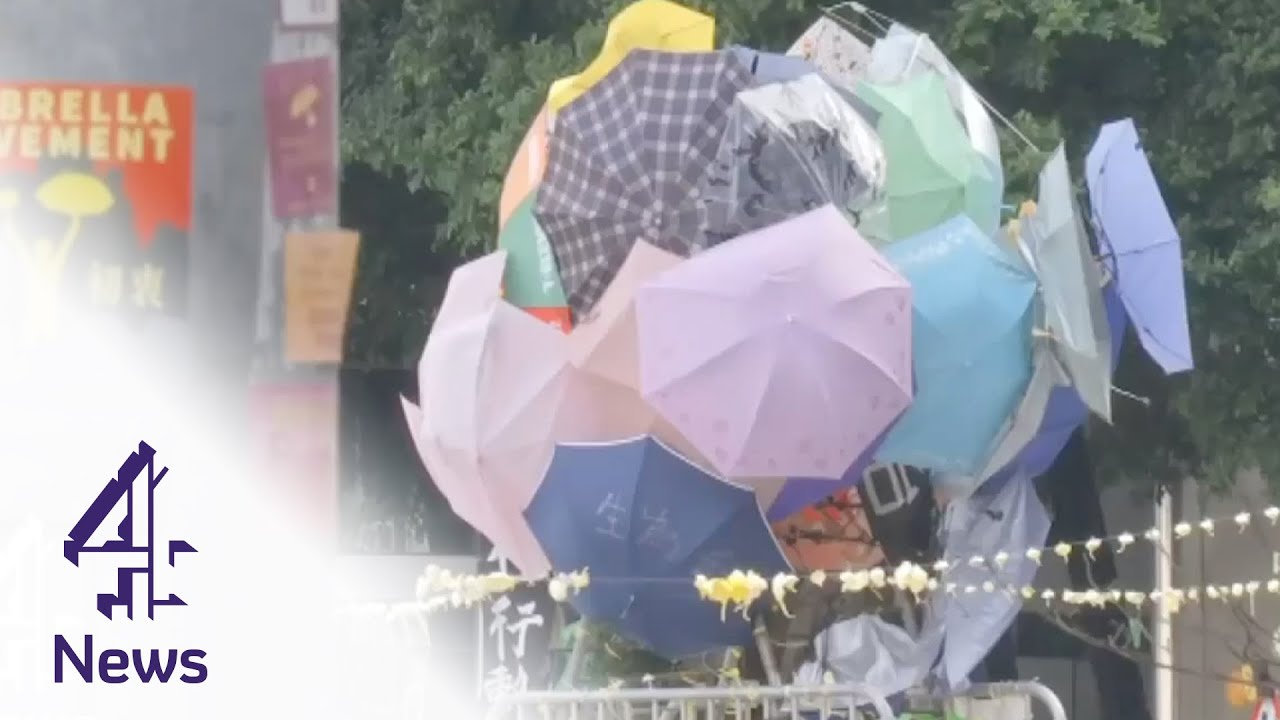 The political art behind the umbrella revolution | Channel 4 News