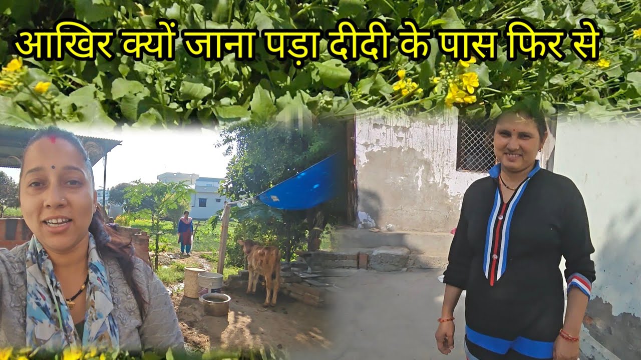 आज हमने बनाई स्पेशल डिश ll @deepabaseravlogs