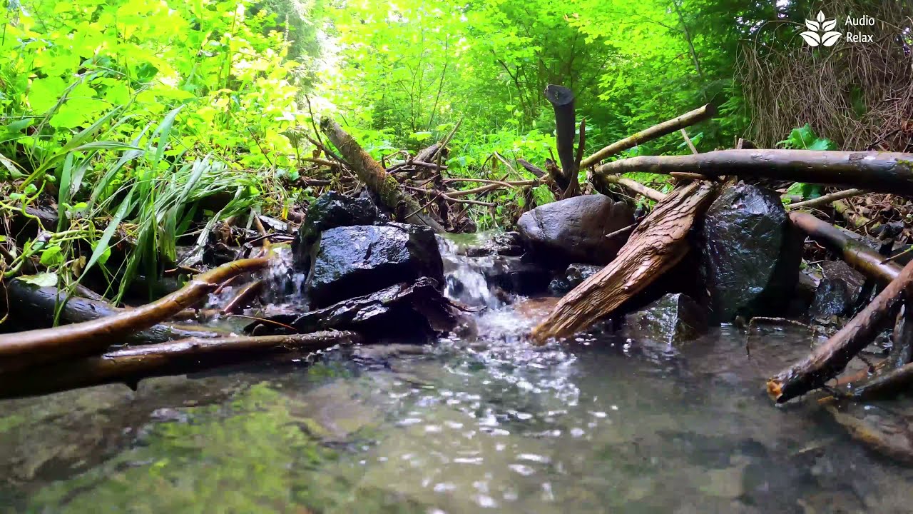 Stream Flowing Sounds for Sleeping. (no birds, no music).