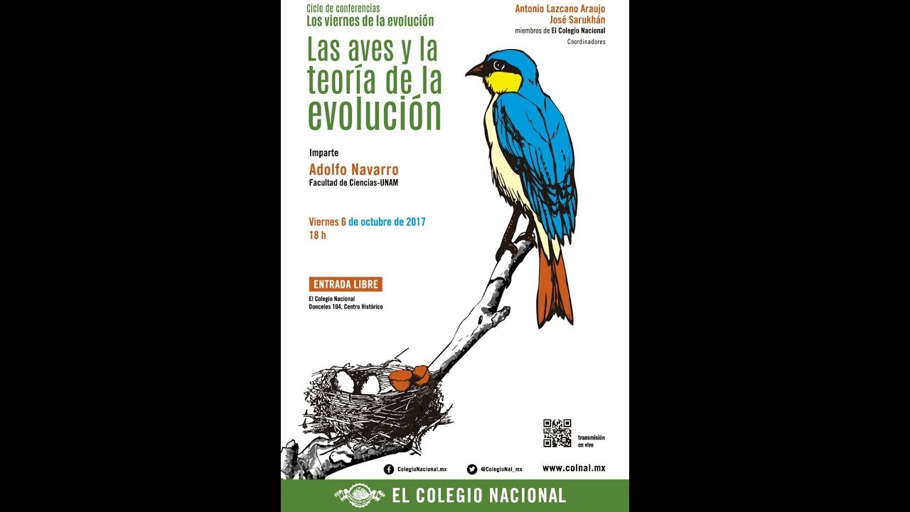 Ciclo: Viernes de Evolución: Las aves y la teoría de la evolución.