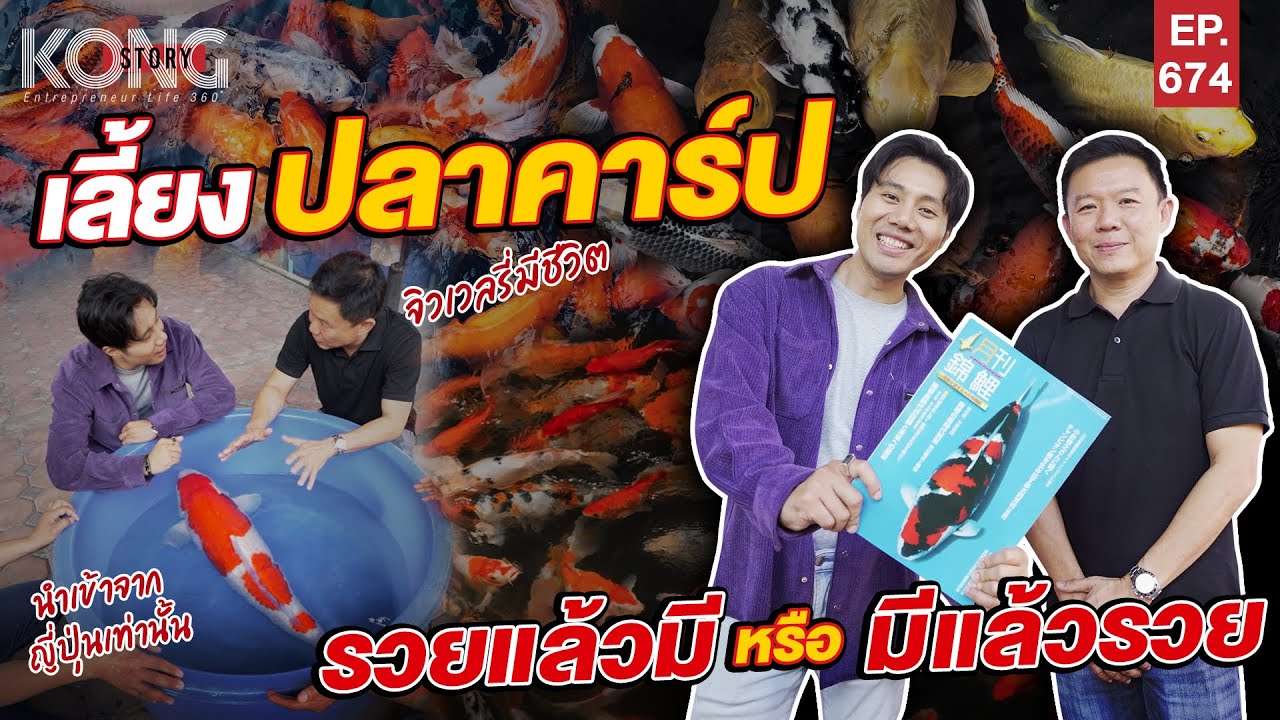 เลี้ยงปลาคาร์ป รวยแล้วมี หรือมีแล้วรวย l Kong Story EP.674