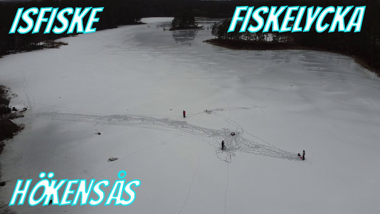 Pimpelfiske Efter Regnbåge i Hökensås | Fiskelycka