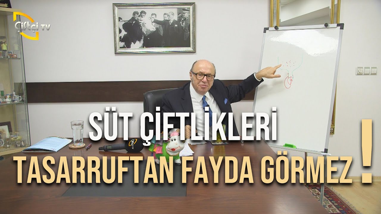 Pembe Göz Hastalığının Tedavi Yöntemleri - Dersimiz Hayvancılık