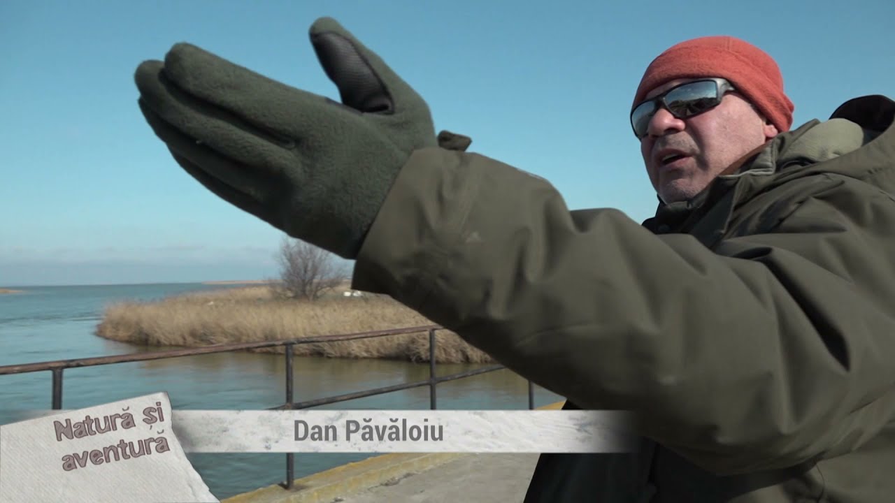 Natura si aventura: Pe urmele șacalilor din Delta Dunarii, partea a 2-a