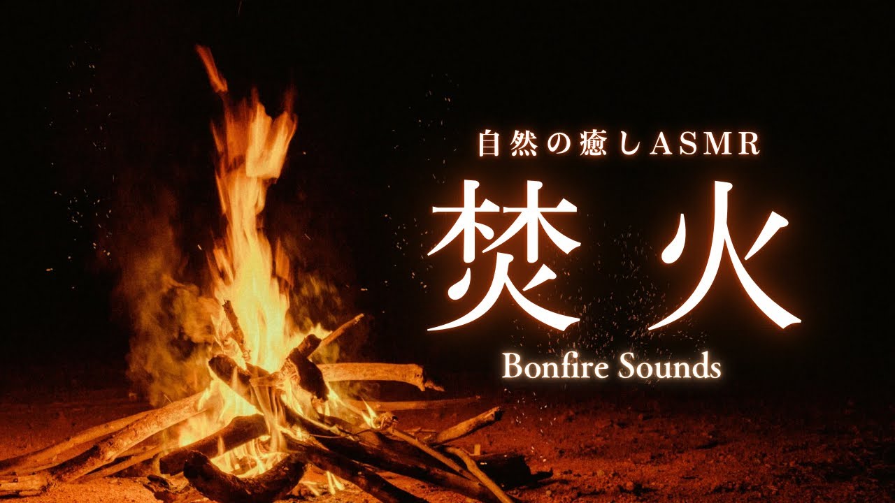 焚き火BGM 1時間 (睡眠・勉強ASMR)
