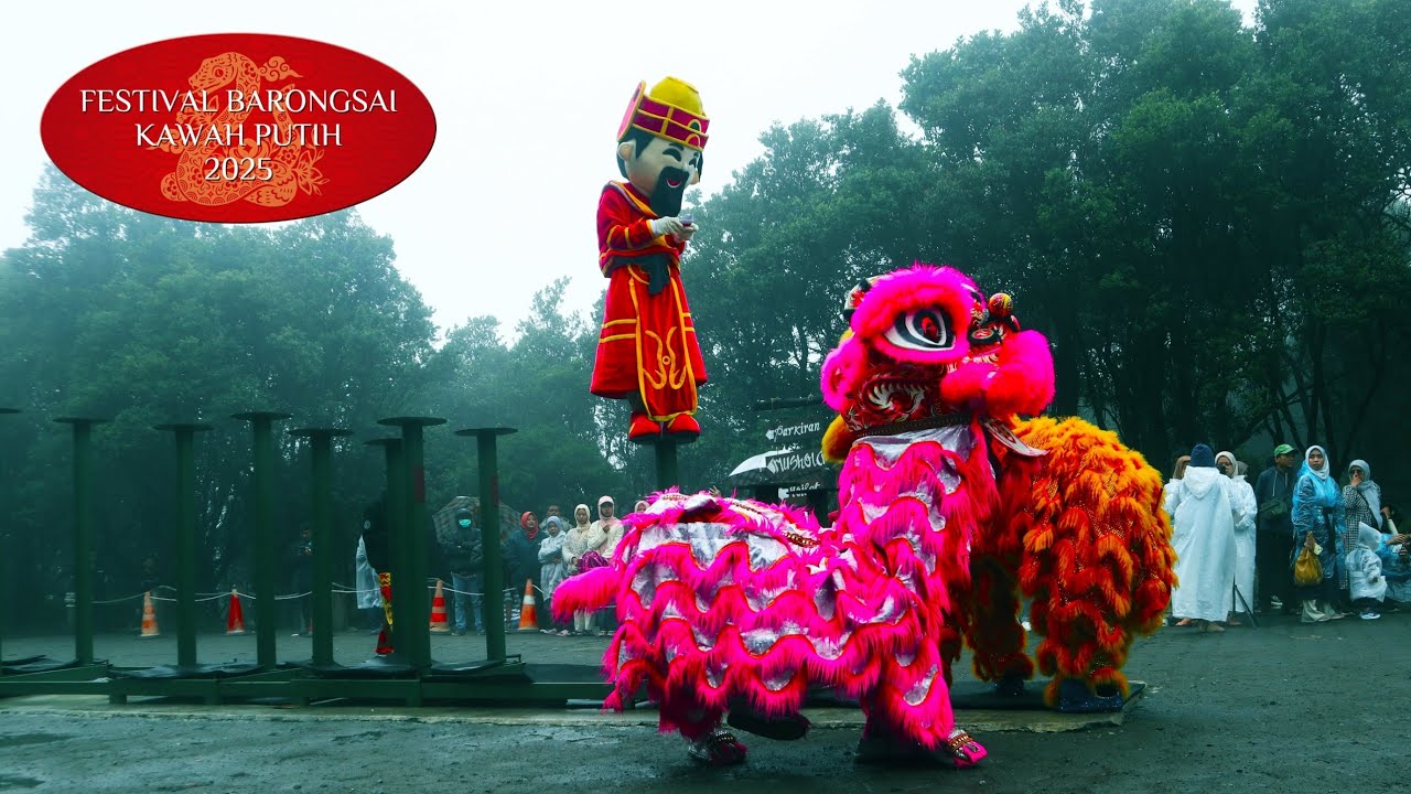 KAWAH PUTIH || FESTIVAL BARONGSAI 2025