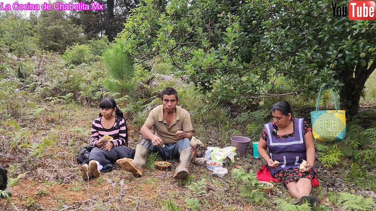 😀El día de hoy fui a dejarle de comer a mi esposo mientras trabaja en el campo 😀