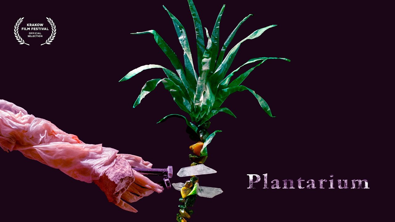 PLANTARIUM, dir. Tomek Ducki - trailer