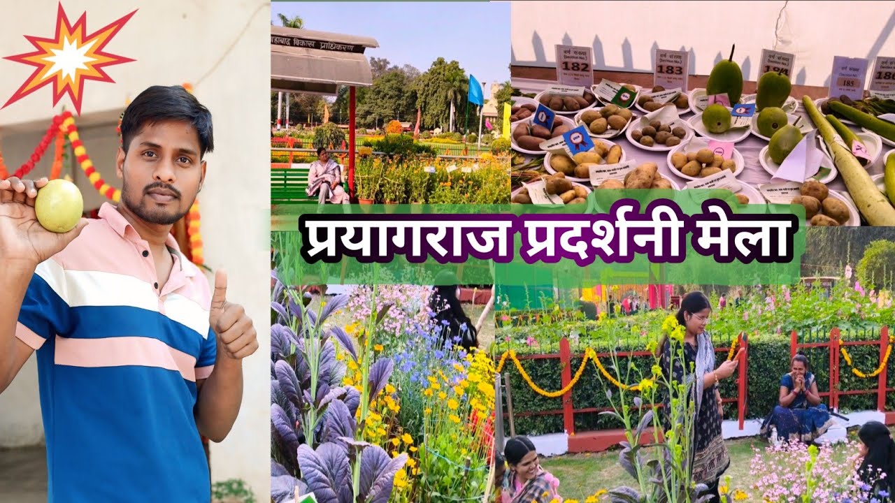 प्रयागराज प्रदर्शनी मेला 