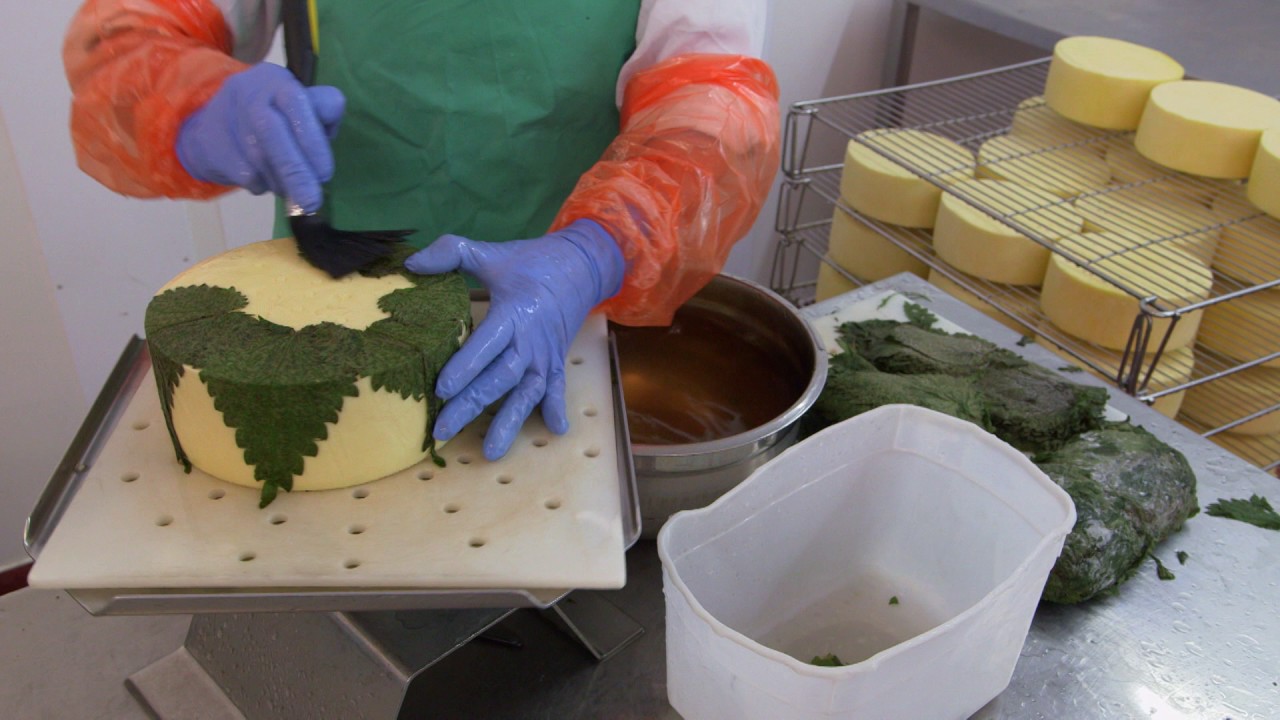 Stinging Nettle Cheese and Worlds Best Cheese - Cheese Slices S8 with Will Studd