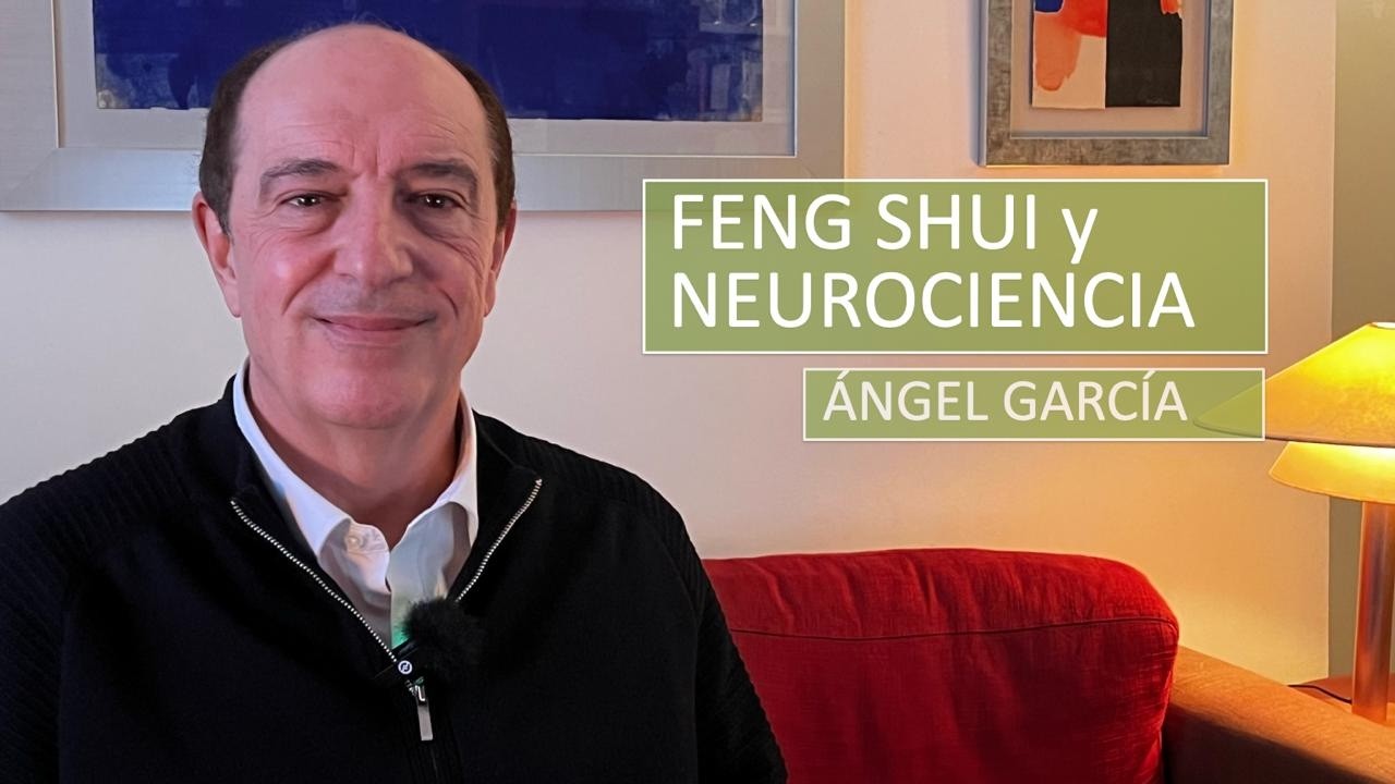 La verdad sobre Feng Shui y Neurociencia: Neuro Arquitectura y Neuro Interiorismo ¿Funcionan?