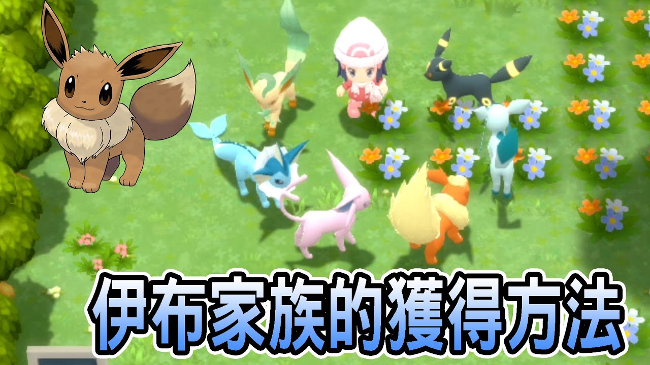 【寶可夢 晶燦鑽石/明亮珍珠】伊布家族的獲得方法