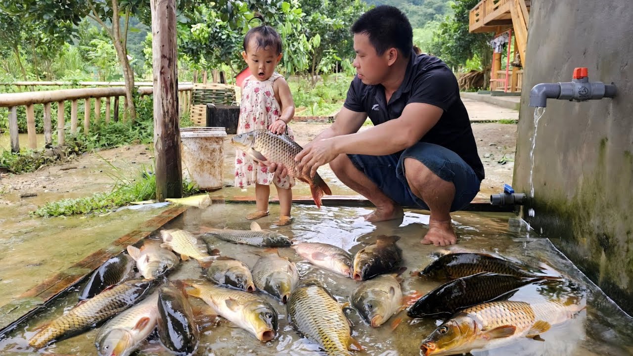 45 Days build farm,Gardening,Harvesting, Chicken,Fish,Pig,Market and Cooking /XuanTruong.