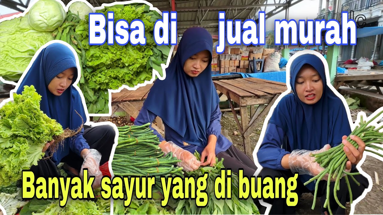 SAYUR MASI BAGUS-BAGUS⁉️ BISA DI JUAL MURAH