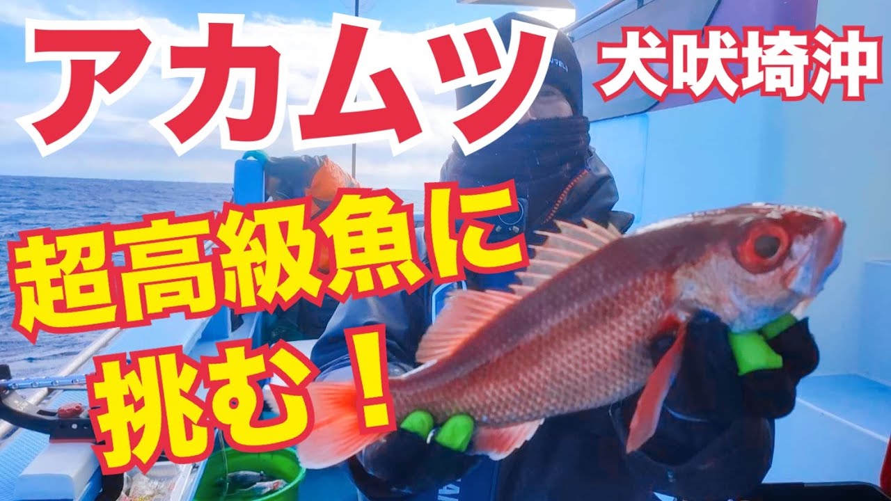 【アカムツ釣り】犬吠埼沖で挑む！超高級魚攻略なるか？！誘い方・エサ｜2025.2.10