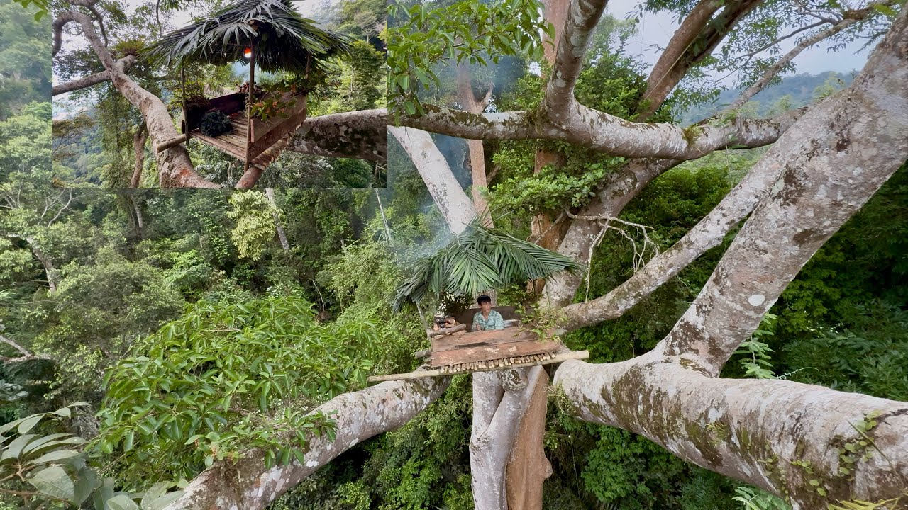 Building The Tallest Treehouse In The Forest &ndash; And This Is The Result&hellip;