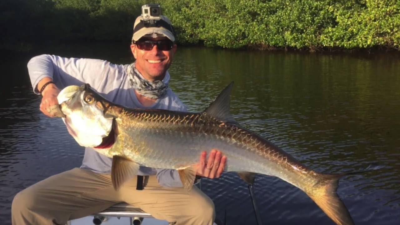 Tarpon and Snook Fly Fishing