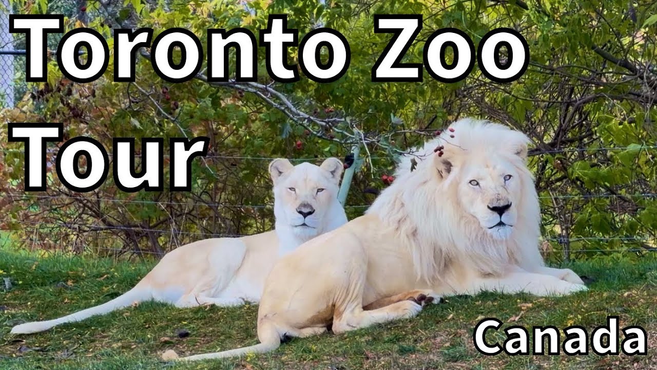 Tour of the Toronto Zoo - Toronto, Ontario - Canada