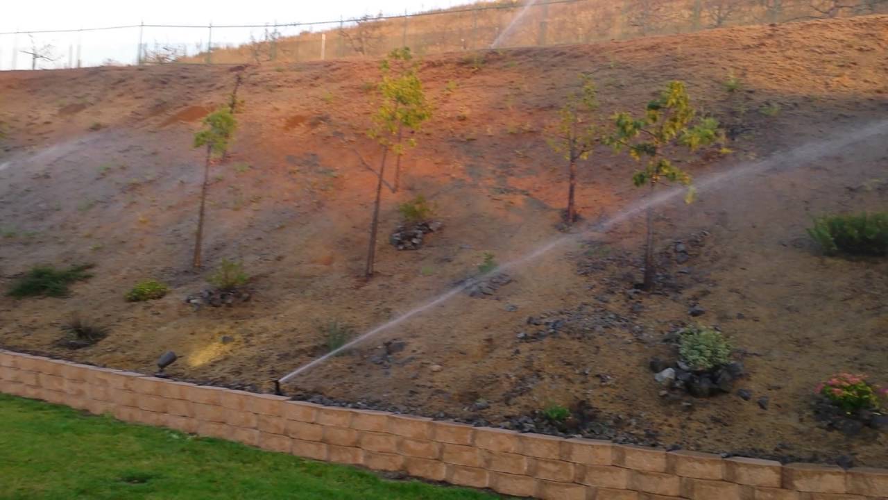 Slope Hydroseeding Project Update