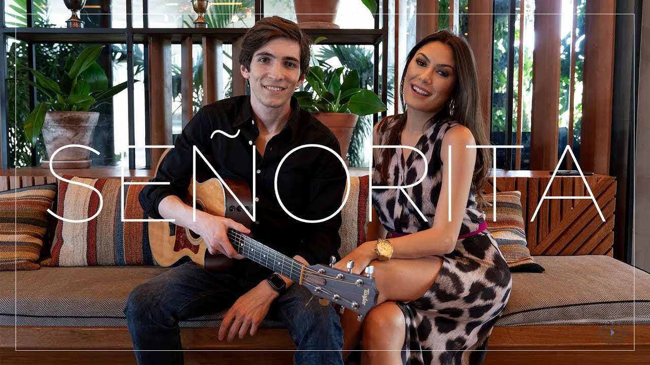 Señorita (Shawn Mendes & Camila Cabello) - Darfiny - Cover