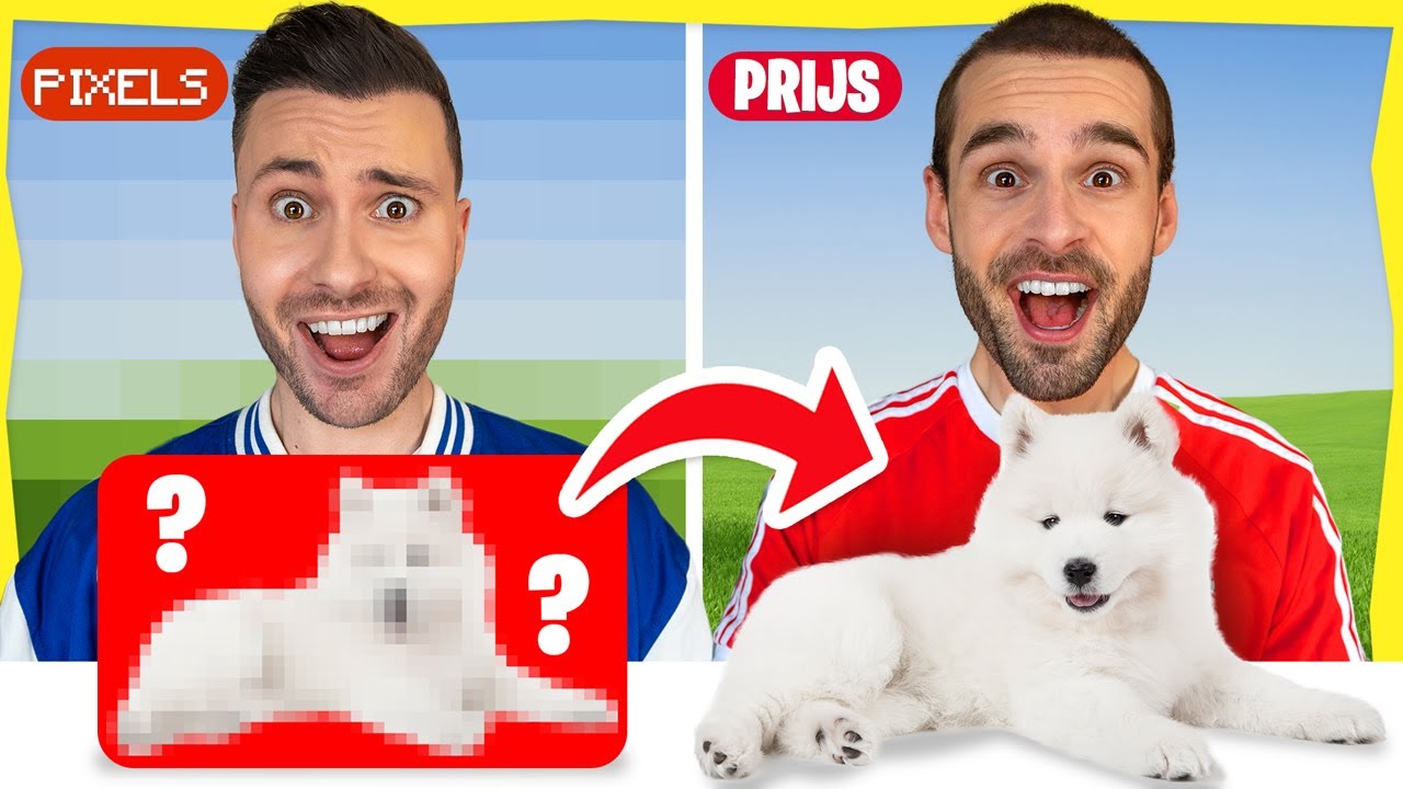 Raad De Pixels en Win De Prijs! *Challenge*