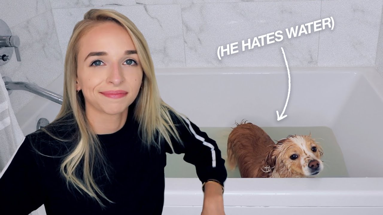 ATTEMPTING TO GIVE MY PUPPY A BATH :)
