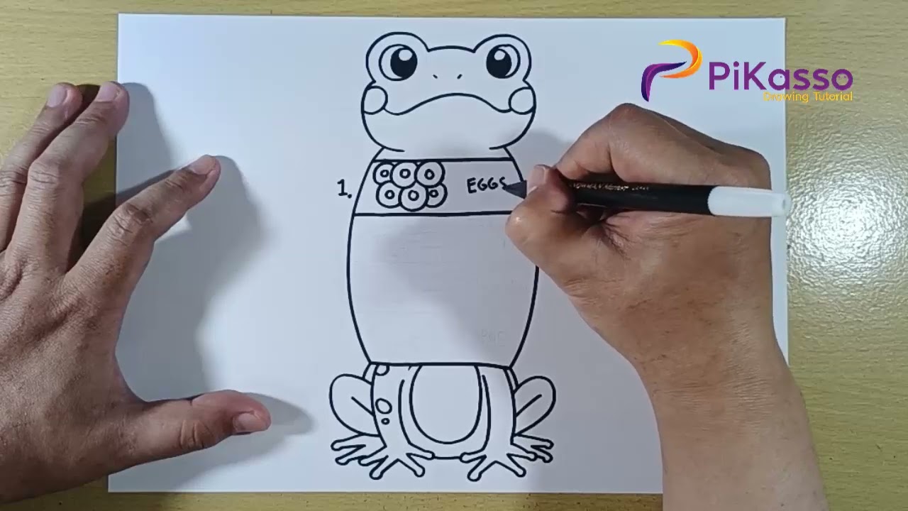 How to Draw Life Cycle of a Frog Re visit this with a 2026 version