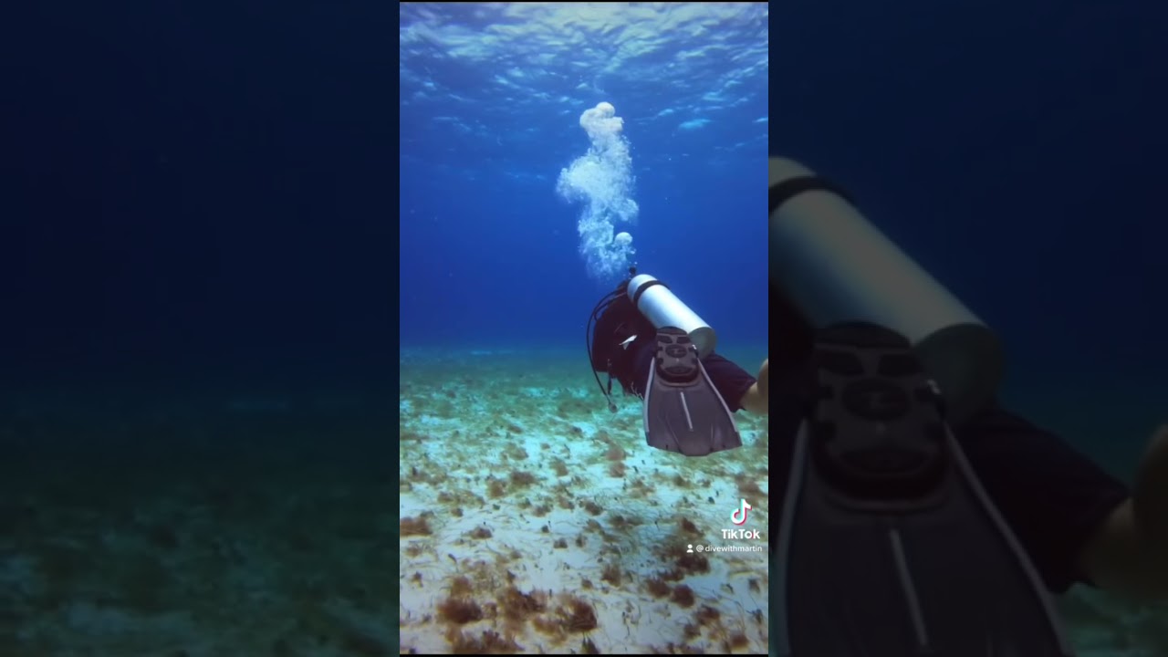 Drift diving is the best thing in the world