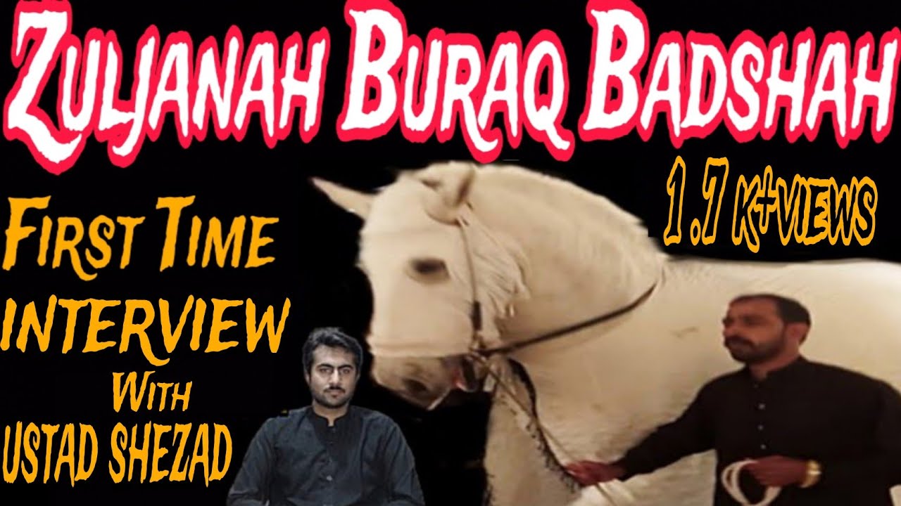 World Most beautiful and Biggest Zuljanah Buraq Badshah interview | Buraq Badshah Rawalpindi
